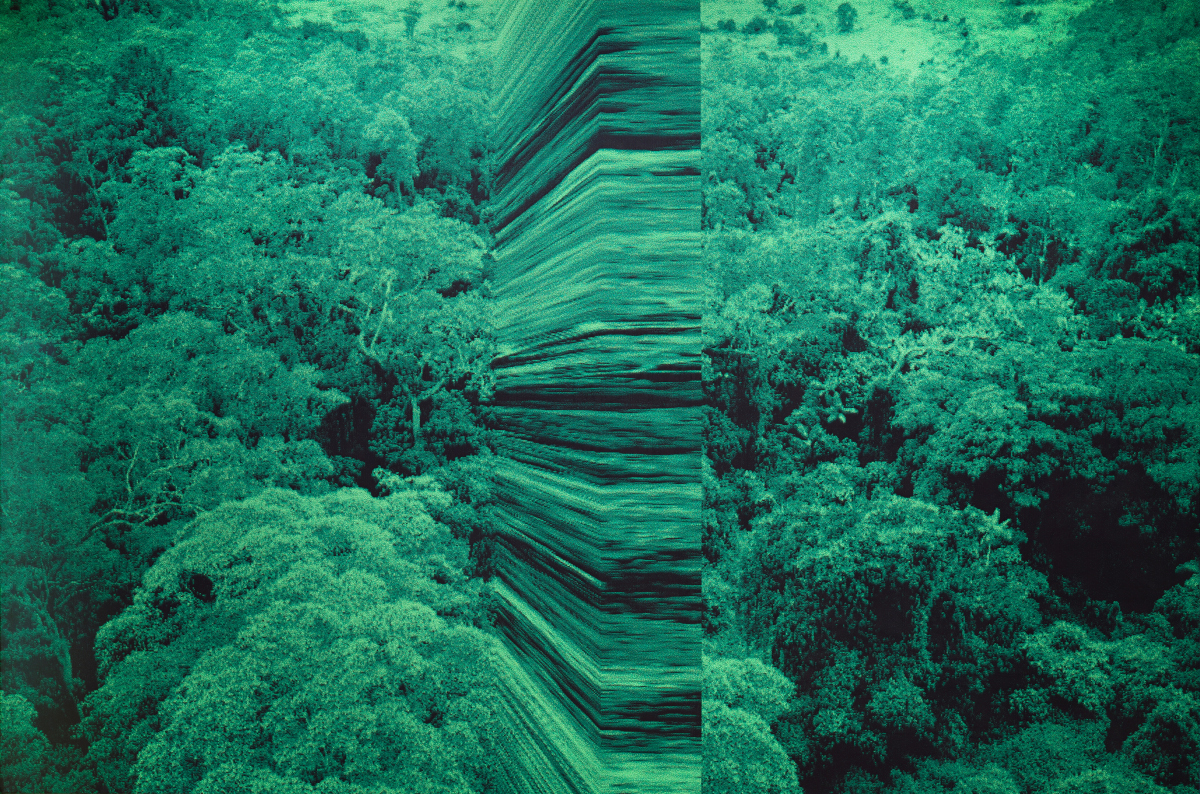 greenwork (aerial wall)